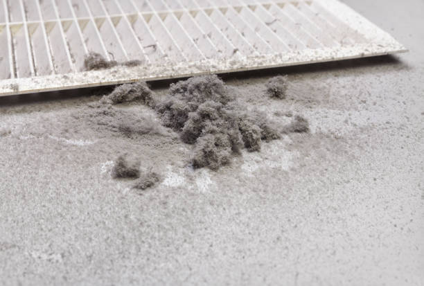 Best HVAC System Cleaning  in Roanoke Rapids, NC