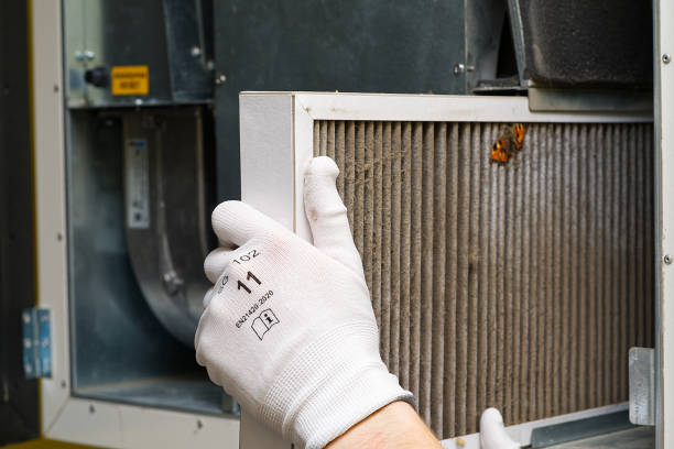 Best Local Air Duct Cleaning Services  in Roanoke Rapids, NC