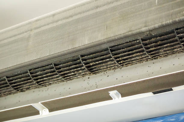 Best Ductwork Cleaning Services  in Roanoke Rapids, NC