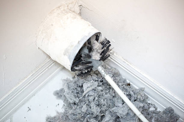 Best Ventilation Cleaning Services  in Roanoke Rapids, NC