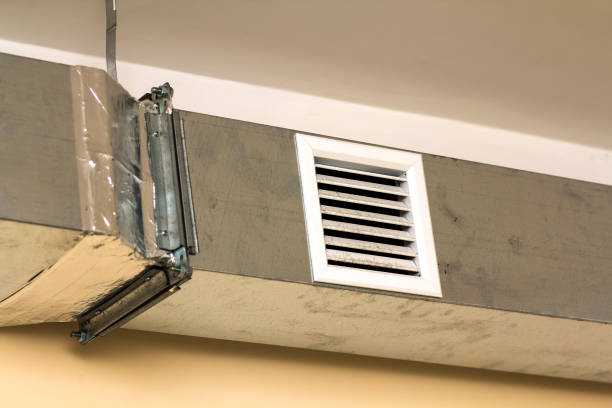 Best Home Air Vent Cleaning  in Roanoke Rapids, NC